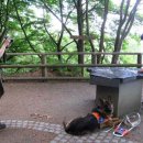 Bild 3: Pascal Schäfer, Praktikant des Commerzbank-Umweltpraktikums 2013, bei seinem Dreh des Videoclips im Barrierefreien Natur-Erlebnisraum Wilder Kermeter. (Foto: Nationalparkverwaltung Eifel/ A. Olligschläger)