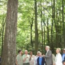 Bild 3: Wie hoch wächst ein Baum? Daten und Fakten, aber auch Philosophisches und Spaß hatte die Minister-Delegation bei ihrer Stippvisite.