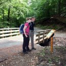 Bild 5: Besucher des Nationalparks Eifel zeigen sich sehr interessiert an den Informationsschildern, hier zur Bachlauf-Renaturierung. Foto: Nationalparkverwaltung