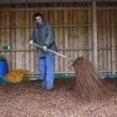 Bild 5: Die Bucheckern im Trockenlager müssen regelmäßig gewendet werden. Foto: Nationalparkverwaltung