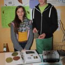 Bild 5: Einen Einblick in ihre vielfältige Arbeit gaben die Nationalpark-Schulen im Anschluss an die Zertifizierung an selbst gestalteten Info-Ständen. Foto: Nationalparkverwaltung