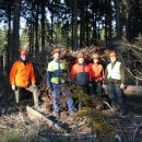 Bild 6: Helmut Nießen, Heinz Pohl, André Thelen, Udo Prinz und Volker Möller (von links nach rechts) sind heute der Verkehrssicherungspflicht an der B265 erfolgreich nachgekommen. Foto: Nationalparkverwaltung