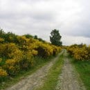 Bildautor: A. Pardey