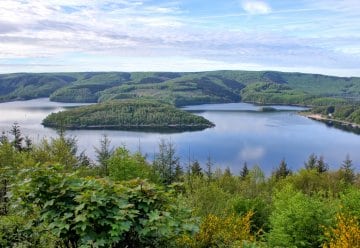 Blick auf NLP_Martin Weisgerber.jpg