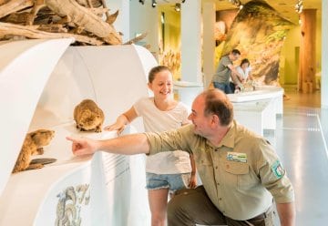 Buche, Biber, Hirsch & Co. – Winter im Nationalpark-Zentrum Eifel