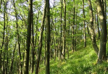 Bürgerfragen an den Nationalpark