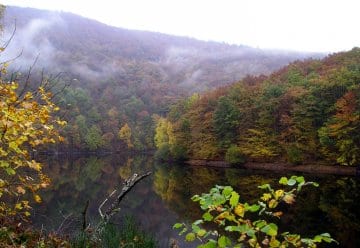 Buntes Herbstprogramm im Nationalpark Eifel (PM vom 30. September 2008)