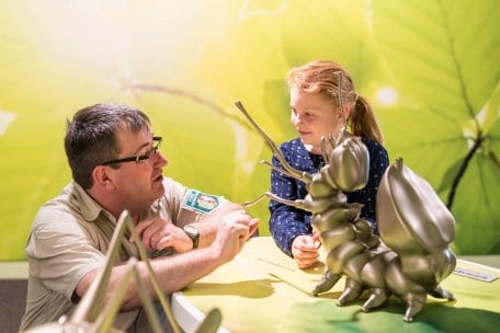 Das Bild zeigt einen Ranger in der Erlebnisausstellung "Wildnis(t)räume"