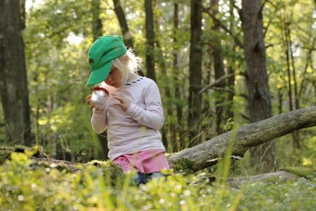 Das Kooperationsprojekt „Nationalpark-Kitas Eifel“ bringt schon die Kleinsten in die Natur: Durch viel Draußenzeit und das spielerische Entdecken können in den ersten Lebensjahren Akzente für eine starke Naturverbindung gesetzt werden. 