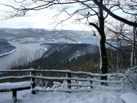 Das ganze Jahr über bieten die Ranger im Nationalpark Eifel Führungen an.