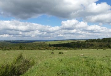 Das offene Grasland der Dreiborner Hochfläche ist besonders artenreich.