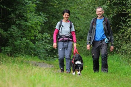De wildernis-trail toont de hele landschappelijke diversiteit van het Nationaal Park Eifel.
