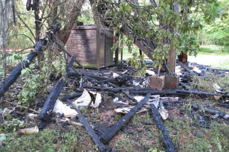 Der Aussichtsturm Wolfgarten. Foto: Nationalparkverwaltung Eifel/Michael Lammertz