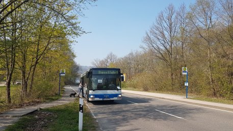 Der Barrierefreie Naturerlebnisraum ist jetzt noch leichter mit der offiziellen Linie 231 der Rurtalbus zu erkunden. 