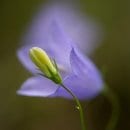 Der Kurs beginnt in der Erlebnisausstellung „Wildnis(t)räume“, anschließend geht es raus in die Natur des Nationalparks. 