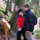 Der Schöpfungspfad "Dem Leben auf der Spur" ermöglicht eine meditative Wanderung entlang eines schmalen Pfades (Foto: Nationalparkforstamt Eifel)