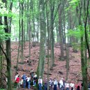 Der Schöpfungspfad läuft entlang des Wildnis-Trails zwischen Simmerath-Hirschrott und dem ehemaligen landwirtschaftlichen Weiler Leykaul.