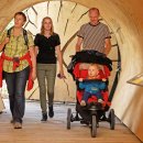 "Der Wilde Weg" - ein Highlight im barrierefreien Naturerleben: Hier ein begehbarer Stammtunnel, der auf dem Wilden Weg neue Sichtweisen auf das Thema "Totholz" eröffnet.