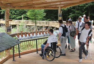 Der Wilde Weg ist ein Beispiel für barrierefreies Naturerlebnis im Nationalpark Eifel.