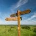 Der Wildnis-Trail