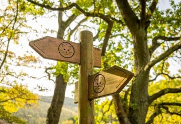 Die Abschnitte des Trails