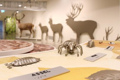 Die Ausstellung &quot;Wildnis(t)räume&quot; im Nationalpark-Zentrum ist barrierefrei konzipiert und spricht alle Sinne an.