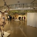 Die Ausstellung vermittelt den (Eigen-)Wert der Natur und unsere gemeinsame Verantwortung für ihren globalen Erhalt. Foto: R. Hövel