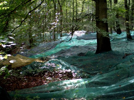 Die Bildbeschreibung finden Sie bitte unter der PM.