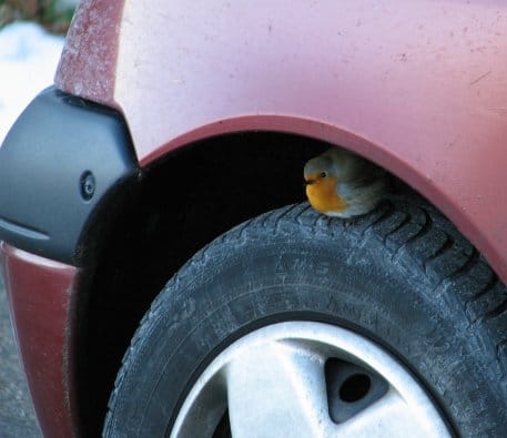 Die Bildbeschreibung finden Sie bitte unter der PM.