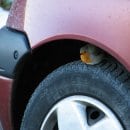 Die Bildbeschreibung finden Sie bitte unter der PM.