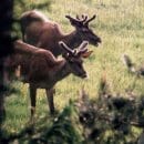 Die Bildbeschreibung finden Sie bitte unter der PM.