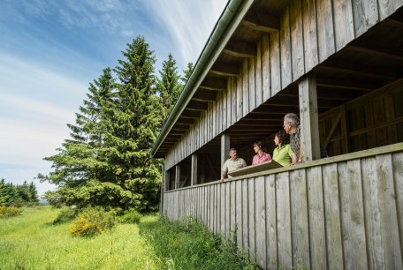 Die Empore erlaubt ganzjähig Naturbeobachtung - barrierefrei und geschützt vor Wind und Wetter.