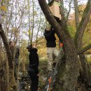 Die Mitarbeiter des Zoologischen Forschungsmuseums Alexander König aus Bonn kontrollieren vor dem Winter noch einmal die Schläferkästen.