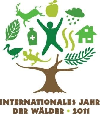 Die Vereinten Nationen haben 2011 zum Internationalen Jahr der Wälder erklärt.