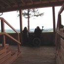 Die neue Rothirsch-Aussichtsempore in Dreiborn ermöglicht, Rothirsche in ihrer natürlichen Umgebung zu beobachten. Foto: S. Wilden