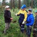 Douglasienbäumchen – die gehören hier nicht her. Die Fußballer des SV Nierfeld helfen durch das Herausziehen junger Douglasien der ursprünglichen Natur im Nationalpark Eifel auf die Beine zu kommen.