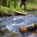 Durch die Hölzer bilden sich Bereiche mit unterschiedlichen Strömungsgeschwindigkeiten, in denen sich der Kies an- oder ablagert. Langfristig soll dadurch eine abwechslungsreiche Struktur entstehen.