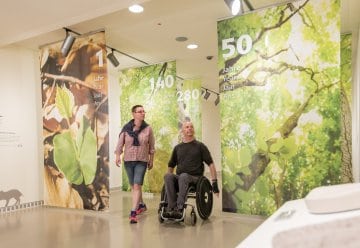 Echsen träumen auf dem Sonnendeck – andere tauchen ab ins kühle Nass 