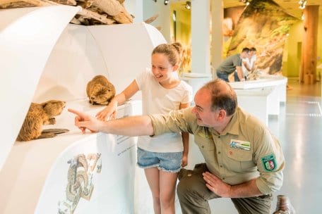 Eifel National Park Centre offers guided tours, special programmes for groups, school classes and pre-schoolers as well as excellent barrier-free accessibility.