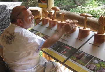 Eifeler können noch bis Sonntag für „Wilden Weg“ im Nationalpark stimmen