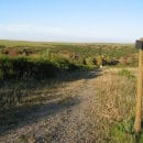 Ein markiertes Wegenetz erschließt die Dreiborner Hochfläche für Besucher.