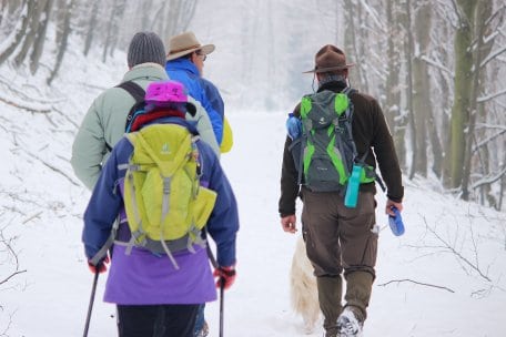 Eingepackt in eine dicke Schneedecke hat der Nationalpark Eifel einen 