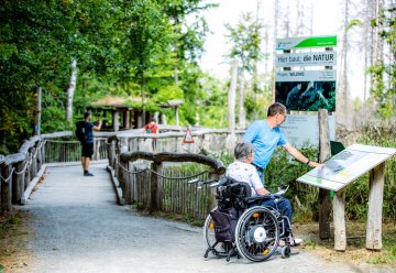Erleben Sie barrierefrei Natur und Wildnis im Nationalpark Eifel 