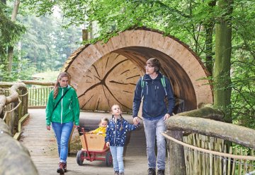 Erleben Sie barrierefrei Natur und Wildnis im Nationalpark Eifel 