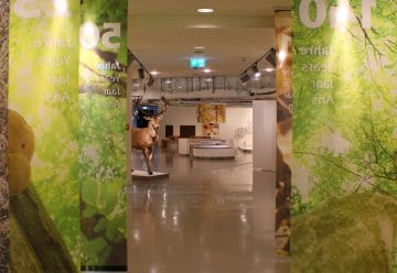 Erlebnisausstellung ,,Wildnis(t)räume&quot; wieder bis 17 Uhr geöffnet