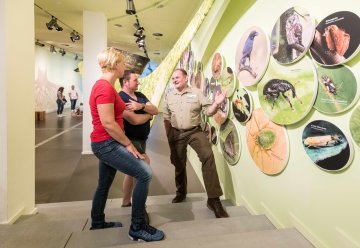 Erste Anlaufstelle für Besucher des Nationalparks Eifel