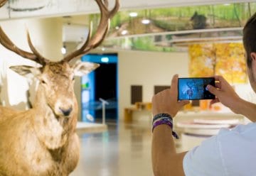 Erster InstaWalk durch die Erlebnisausstellung „Wildnis(t)räume“