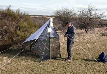 Erstmals Insektenleben zwischen Baumwipfeln erforscht