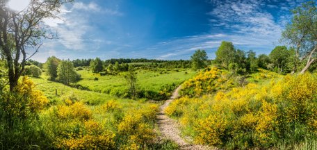 Expansive forests and open landscapes are returning to the wilderness.