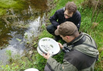 Experts research which animals and plants are found in the National Park and how the forest, rivers and streams, and other ecosystems are developing. 